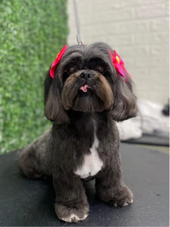 WhatsApp Image 2025-10-22 at 15.14.44