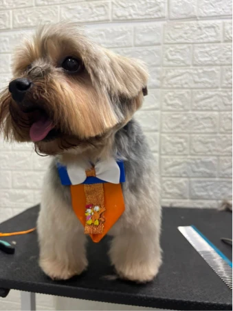 WhatsApp Image 2025-11-18 at 14.32.36 (1)