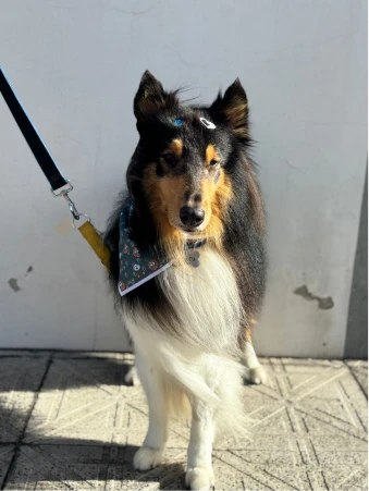 WhatsApp Image 2025-11-18 at 14.32.39 (1)