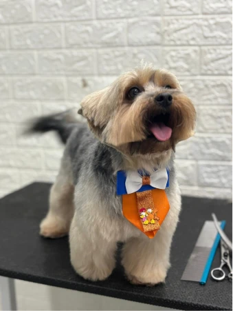 WhatsApp Image 2025-11-18 at 14.32.39 (2)