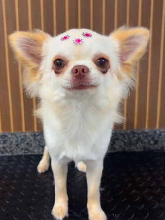 WhatsApp Image 2025-11-18 at 14.32.46