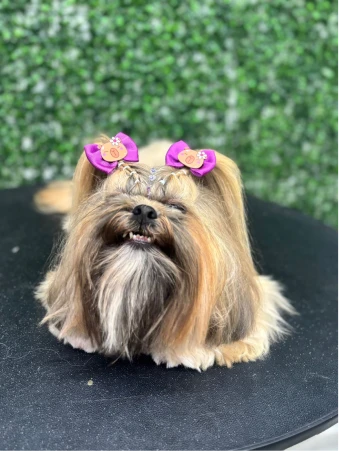 WhatsApp Image 2025-11-18 at 14.32.52 (1)