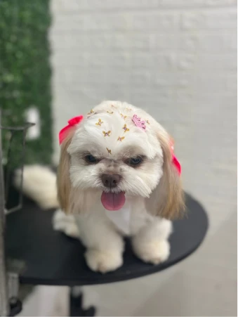 WhatsApp Image 2025-11-18 at 14.33.03 (2)