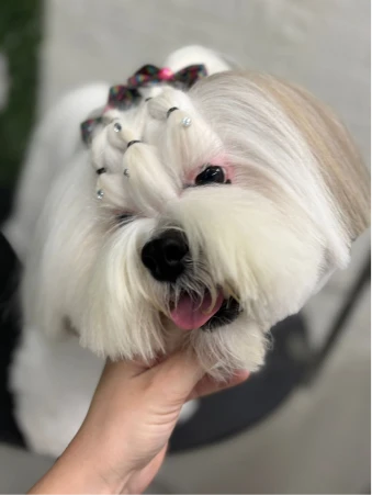 WhatsApp Image 2025-11-18 at 14.33.03