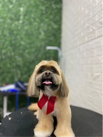 WhatsApp Image 2025-11-18 at 14.33.04